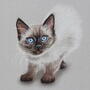 https://fs04.vseosvita.ua/0402zxeg-f28d-90x90.jpg