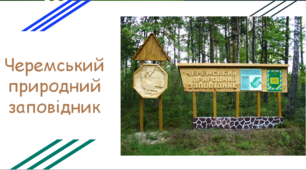 Презентація "Черемський природний заповідник"