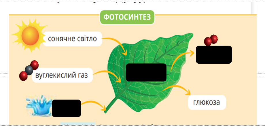 0402zzf8-9579-920x460.png