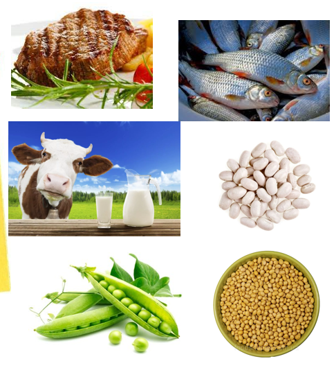 04030026-e8cd-483x531.png