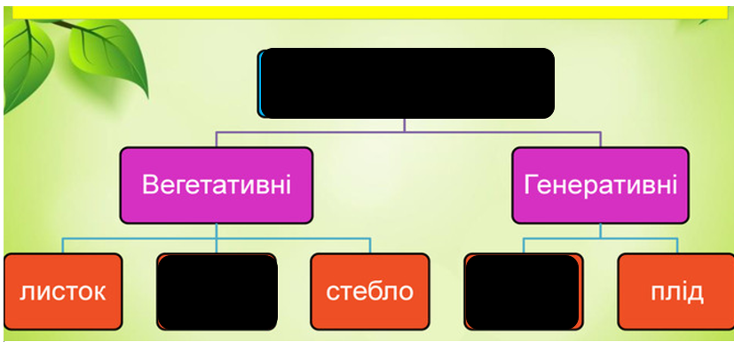 040300nf-6f59-827x386.png
