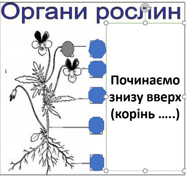 0403017h-0f0e-627x594.png