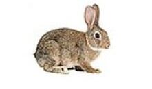 040301x0-ea1a-221x130.jpg