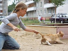040306lp-be80-237x178.jpg