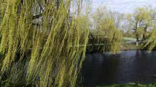 Природа нашого селища