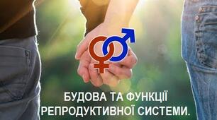 Тестування "Репродуктивна система. Статеві клітини"