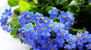 Ніхто не може маму замінити,  Її усмішку щиру, ніжність і тепло.