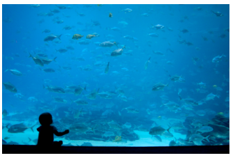 04030ayc-109d-339x232.png