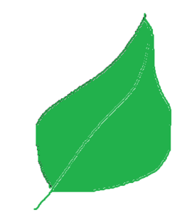 04030ceh-6e3d-256x302.png