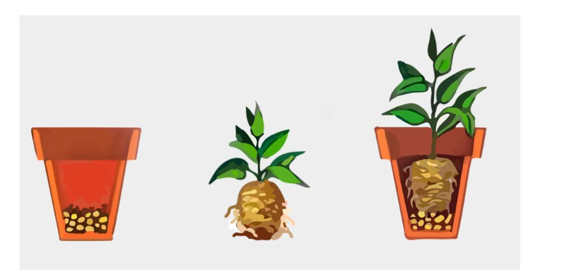 04030g78-31aa-795x382.png