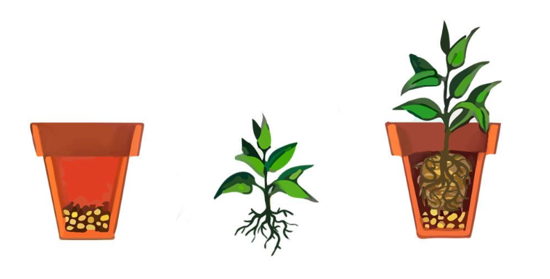 04030g8t-10f4-791x402.png