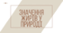 Значення жирів у природі - хімія