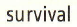 04030rg1-dc58-77x27.png