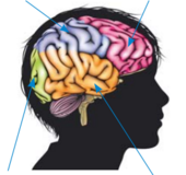 04030rgs-c6ec-262x246.png