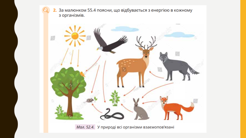 04030ryv-366e-800x450.png