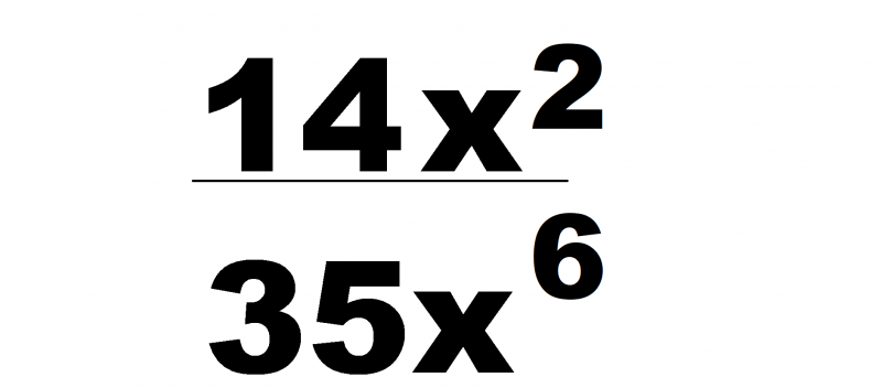 04030sak-8838-800x352.png