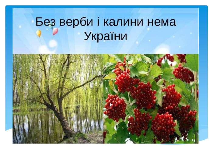04030vml-21ed-700x525.jpg