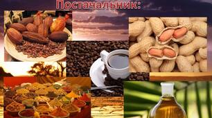  10 клас Країни Африки 