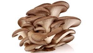 04030yhl-0cbd-296x170.jpg