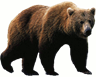 04030yx8-5a54-96x77.png