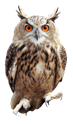 04030yxb-9e6d-73x124.png