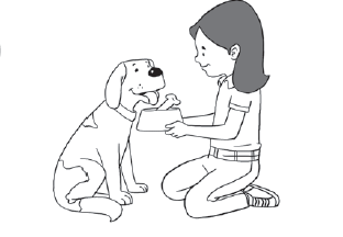 040311wi-a2d8-312x216.png