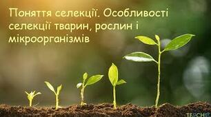 Селекція рослин і тварин