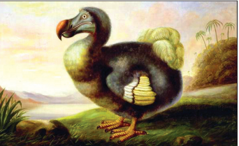 040312p0-8794-342x209.png