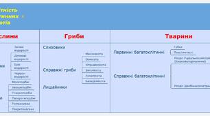 Компетентнісно орієнтований урок "Огляд основних еукаріотичних таксонів"