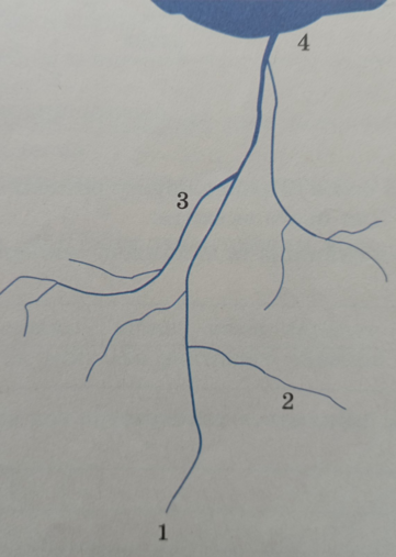 0403150x-1cb4-361x507.png
