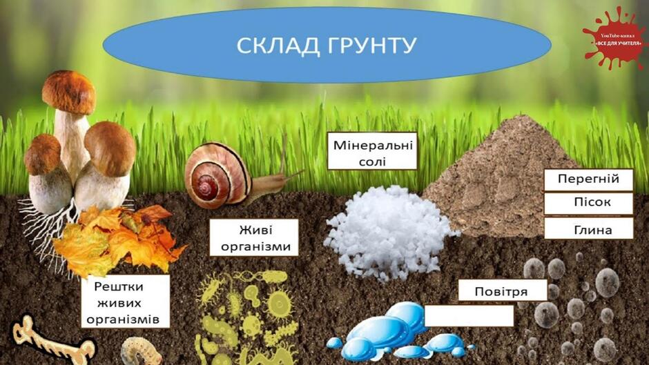 Грунт. Склад грунту
