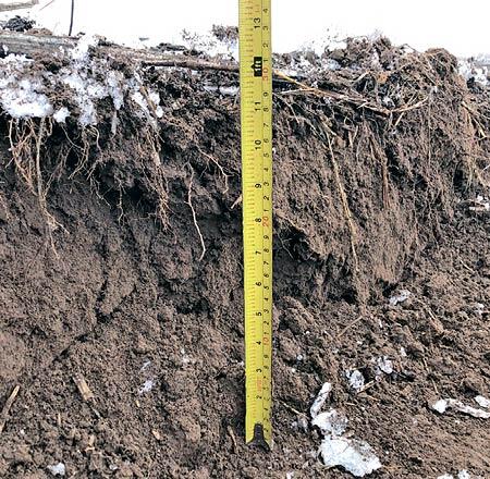 https://agrotimes.ua/wp-content/uploads/2021/05/farmer_05_21_72.jpg