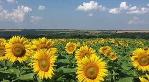 ПРИРОДНІ СКАРБИ УКРАЇНИ
