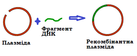0403190t-82d9-459x187.png