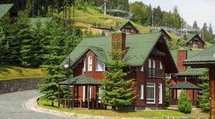 Працює з текстом (ПТ (ГР 2)) Читання мовчки "Нічні гості"_НУШ