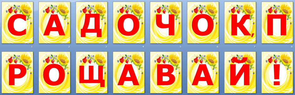 04031c9e-5aea-940x304.png