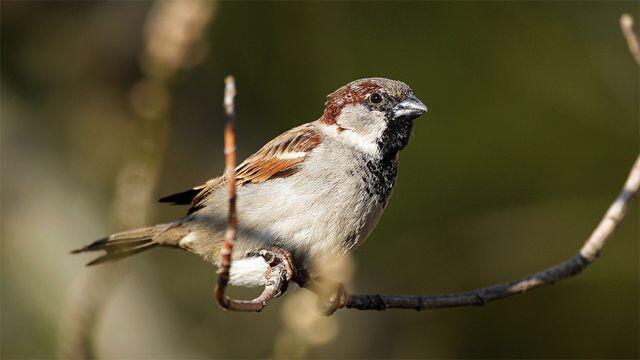 04031dec-8098-640x360.jpg