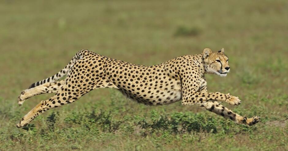 04031dtz-788a-940x494.jpg