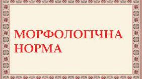 Морфологічна норма. Іменник 