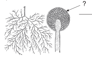 04031fr6-9d66-325x202.png