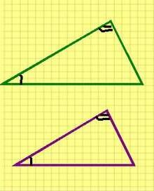 04031frz-996a-220x272.jpg