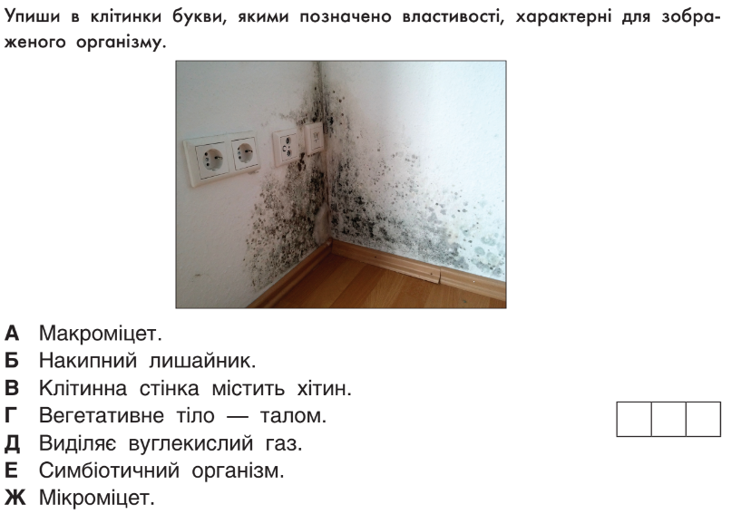 04031g1o-15a8-828x578.png