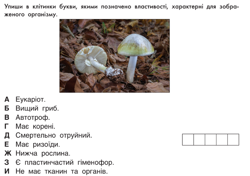 04031g59-e6c0-842x592.png