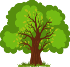 04031icr-5b70-142x135.png
