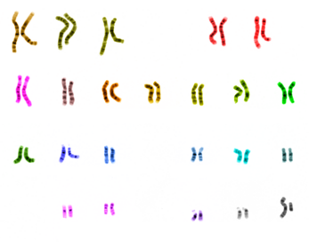 04031jm8-a97e-386x303.png