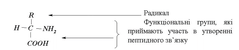 04031lea-c7bf-824x175.png