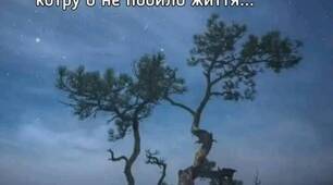 То падала, то знову далі йшла,  То віру і надію геть втрачала.