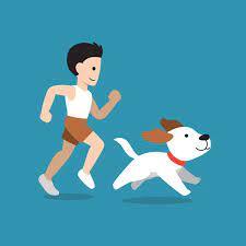 Perro deportivo: векторна графіка, зображення, Perro deportivo малюнки | Скачати з Depositphotos
