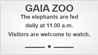 04031pmo-8221-382x217.png