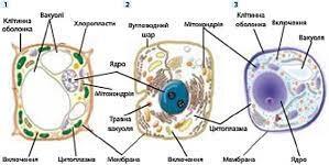 04031t1o-3897-352x176.jpg